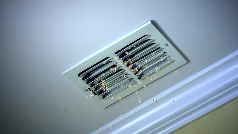 Best Professional Duct Cleaning Services  in Schler Park, IL