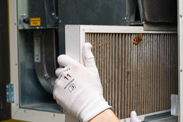 Best Affordable HVAC Duct Cleaning  in Schler Park, IL