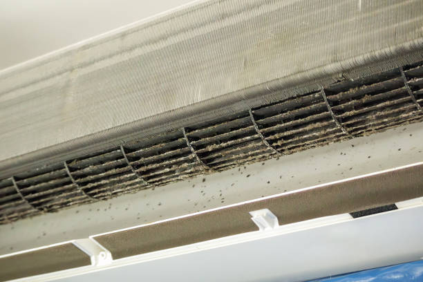 Best HVAC Air Duct Cleaning  in Schler Park, IL