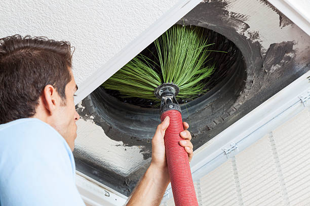 Best Local Air Duct Cleaning Services  in Schler Park, IL