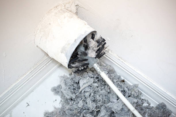 Best Ductwork Cleaning Services  in Schler Park, IL